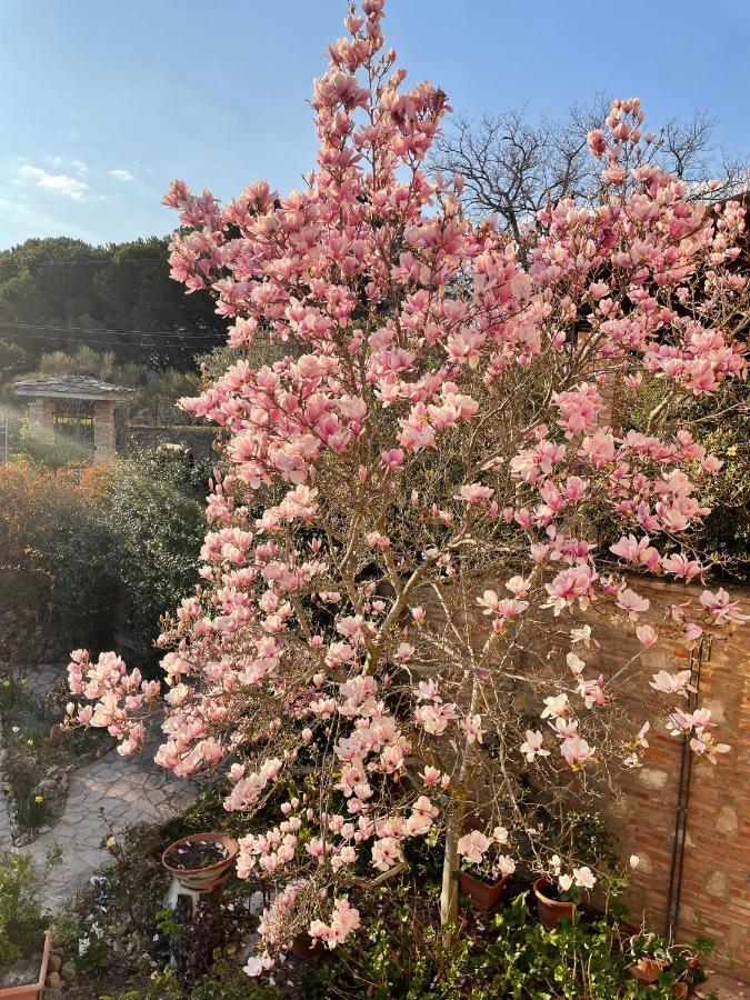 C'Era Una Volta B&B Perugia Eksteriør bilde
